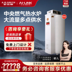 A.O.SMITH EMGO-50C 天然气 10L以下 燃气落地炉