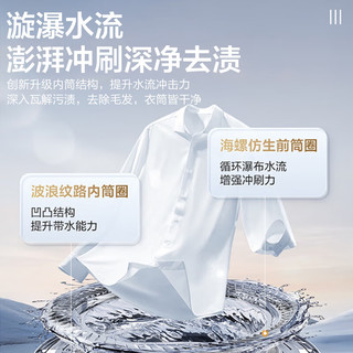 小天鹅 小乌梅2.0系列 TG100MS97ILZ 水魔方滚筒洗衣机