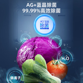 奥马 Homa 599L 风冷无霜双变频除菌净味一级能效对开门冰箱