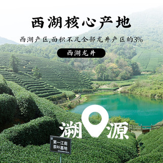 骏江南（JUNJIANGNAN）2025新茶绿茶西湖龙井大师监制特级明前茶叶礼盒装嫩芽高端 【大师监制-西湖龙井】礼盒装