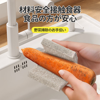CONDOR日本洗碗海绵擦仿丝瓜络百洁布厨房清洁不沾油洗碗刷锅 网罩抗菌海绵擦【10片装15*8cm】