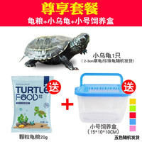 移动端：傲彩 乌龟饲养缸家用养龟专用箱带晒台带爬台别墅生态造景龟缸带盖鱼缸