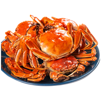 【活蟹】京觅盘锦河蟹净重10只全母蟹1.3-1.6两/只 稻田蟹螃蟹鲜活大闸蟹源头直发 【盘锦河蟹10只】1.4-1.7两/只