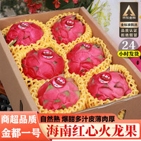 忆京源正宗海南金都一号红心火龙果 应季红肉超甜皮薄蜜宝新鲜孕妇水果 5斤精选果王【礼盒装】送礼甄选 【现摘当天发货】