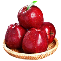 京地达甘肃天水花牛苹果礼盒净重8斤单果200g+中秋水果礼盒源头直发 16枚甄选花牛大果|礼盒+手提袋