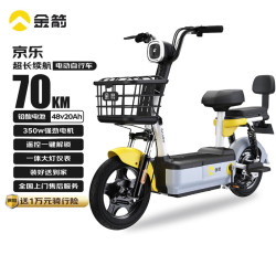 金箭 新国标电动车京乐48V20Ah续航70公里铅酸电池电瓶车代步助力长续航彩雅灰 彩雅灰-续航60~70公里