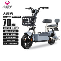小羚羊 电动自行车大魔方天能/超威铅酸48V20AH续航70km免费送装上门源彩灰