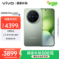 vivo X200 Pro mini 5G手机 12GB+256GB 钛青