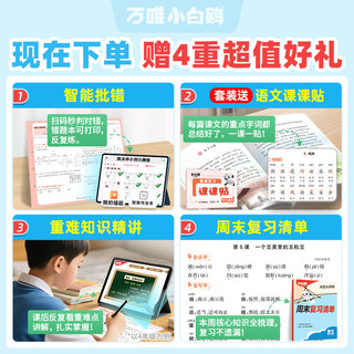 小白鸥 小学语文数学英语周末小测卷 一年级上册