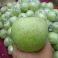王林苹果青苹果新鲜应季青苹果酸甜脆甜可口新果 带箱5斤大果