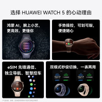 华为 HUAWEI WATCH 5 42mm基础款深锖色不锈钢表壳幻月黑氟橡胶表带首创X-TAP智感窗鸿蒙腕上小艺eSIM通信手表