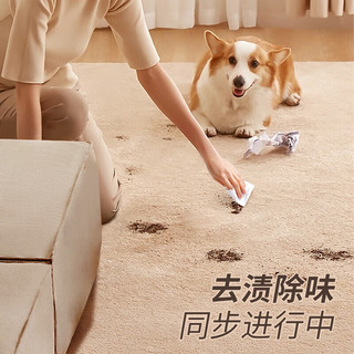 Jecroila布艺沙发清洁剂科技布沙发清洗剂地毯布床垫免洗500ml 【免水洗】布艺清洁剂500ml