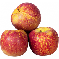 骑猴赶马新鲜云南高山丑苹果现摘应季红富士苹果整箱新鲜冰糖心苹果 5斤热销精选装【单果60-70mm】净重4.5斤