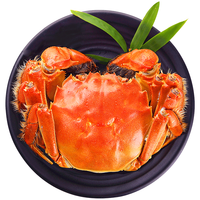 【活蟹】湖中秋色全母大闸蟹2.7-3.0两10只 螃蟹鲜活海鲜生鲜中秋盒 源头直发