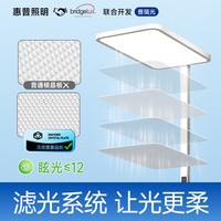 PLUS会员、国家补贴：惠普 大路灯护眼台灯 长颈鹿立式学习灯 LED全光谱灯珠