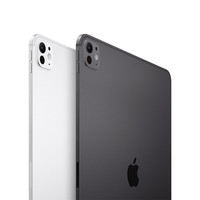 苹果 Apple iPad Pro 2024款 M4版 11英寸 平板电脑 无线局域网机型 256GB 银色