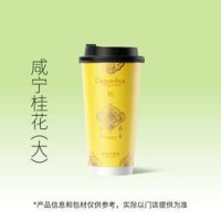 咸宁桂花（冷/热）