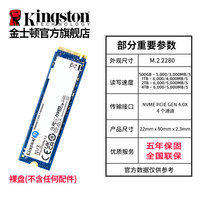 移动端：金士顿 NV1 NVMe M.2 固态硬盘（PCI-E3.0）