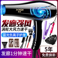 喜旗 XIQI 家用电吹风机负离子护发发廊大功率冷热风宿舍学生