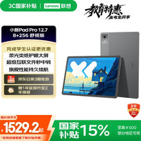 联想 Lenovo 小新Pad Pro 12.7 2025款 舒视版 平板电脑（2.9K、天玑8300、8GB、256GB、WiFi版、大象灰）