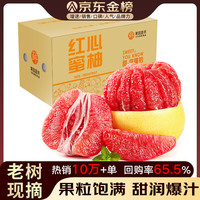 食九月 土八鲜 南非西柚 6枚 单果约250-350g