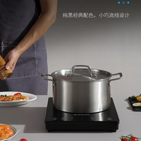 国家补贴：硕高 SUKIO 电磁炉家用 大功率电磁炉电陶炉2200W恒温匀火爆炒 纤薄电池炉火锅 智能定时9档火力
