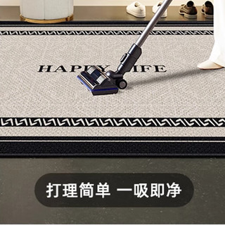 KAYE入户门地垫圈绒家用防滑门垫轻奢高级感进门口垫子门外脚垫可 QR-Y享受简约 120X180cm