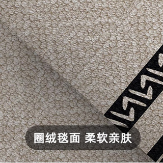 KAYE入户门地垫圈绒家用防滑门垫轻奢高级感进门口垫子门外脚垫可 QR-Y享受简约 120X180cm