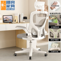 曙亮家具 SHULIANG 人体工学电脑椅 头枕款 白框灰网