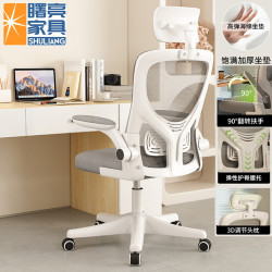 曙亮家具 SHULIANG 人体工学电脑椅 头枕款 白框灰网