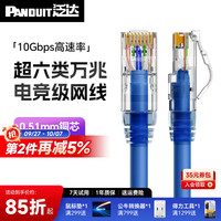泛达 PANDUIT 超六类非屏蔽粗网线路由器家用宽带万兆连接线蓝色2米成品线 蓝色CM阻燃 1米