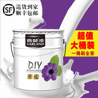 高登 DIY 内墙乳胶漆 20KG 白色