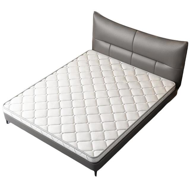 惠寻 椰棕床垫硬床垫薄棕垫榻榻米床垫棕榈1.5米x床垫子CD01 总厚度5厘米