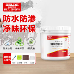 德力西 DELIXI 补墙膏墙面修补膏腻子粉白色墙面修补内墙乳胶漆防水防渗1000g