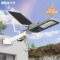 洛林 太阳能灯户外照明庭院路灯农村室外防水灯高亮 2000w一6000mAH 光控+遥控+定时