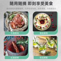 花翁 迷迭香盆栽植物用西餐牛排室外阳台 迷迭香小盆+加仑盆源头直发