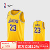 NIKE 耐克 NBA 詹姆斯球衣男篮球服 DN2009-733