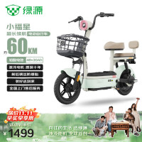 今日必买：绿源 乐骑9 小福星 电动自行车