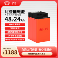 比亚迪 BYD 电动车锂电池 48V24Ah