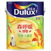 多乐士（Dulux）全效儿童漆A8206淳零0添加竹炭净醛抗菌抗病毒面漆5L【京仓调色】