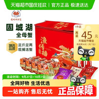 固城湖大闸蟹 全母蟹 包活螃蟹 礼盒