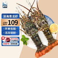 移动端、京东百亿补贴：鲟食 生鲜小青龙新鲜冷冻龙虾 国产超大青龙虾 海鲜大虾中秋送礼 2只*净重4-5两/只 青龙虾