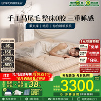 林芃家品 LYNPON HOUSEWARE 林芃皓月席梦思床垫弹簧独立袋家用酒店五星级专用高端马尾毛手工 顶垫+基座 2*2.2米