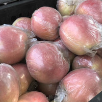 城南堡花 运城红富士净果3斤