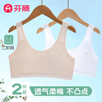 FENTENG/芬腾 透气网孔 女童内衣