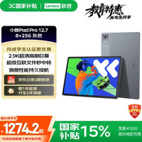 联想 Lenovo 小新Pad Pro 12.7 2025款 平板电脑（2.9K、天玑8300、8GB、256GB、WiFi版、大象灰）