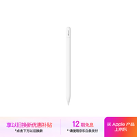 苹果 Apple Pencil 手写笔（USB-C）