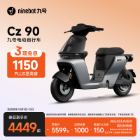 九号 妙想家Cz 90 电动自行车 48V25Ah锂电池 以太银