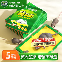 绿叶 GREEN LEAF GL02404 粘鼠板超人捕鼠器 5片装 强力粘胶