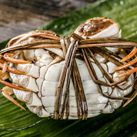 湖中之王 阳澄湖大闸蟹礼券 3988型 公蟹4.5两/只 母蟹3.5两/只 4对8只
